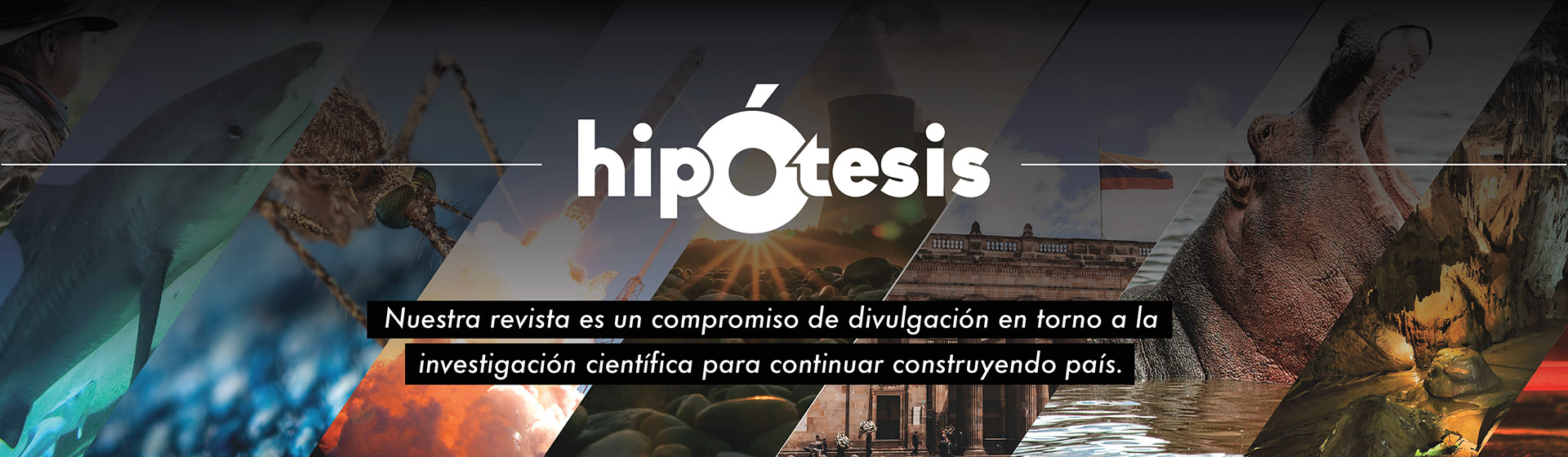 Revista Hipótesis